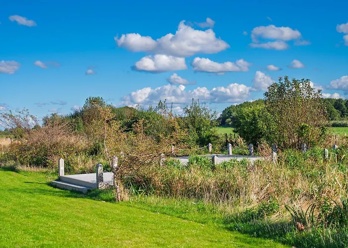Osada Widoki, Wakacyjne *